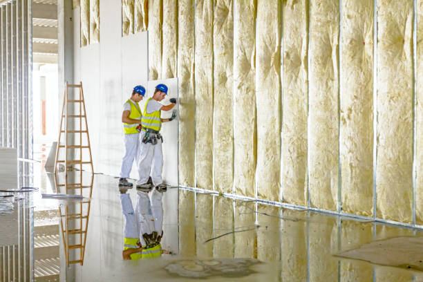 Best Types of Insulation in Shelbyville, KY